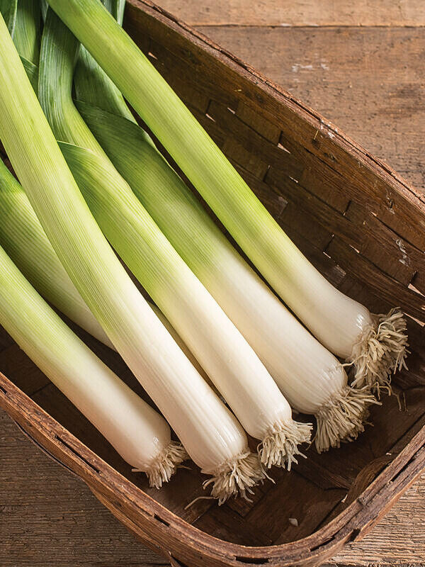 Leek