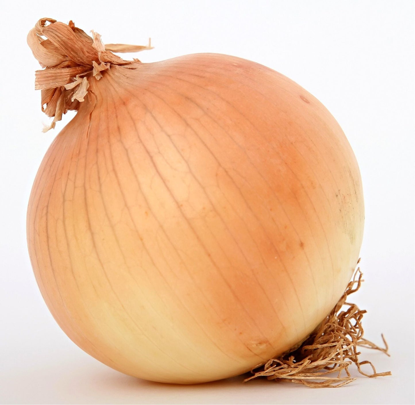 Onion - fresh/summer types