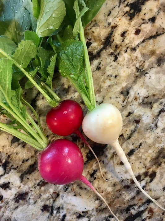Radishes