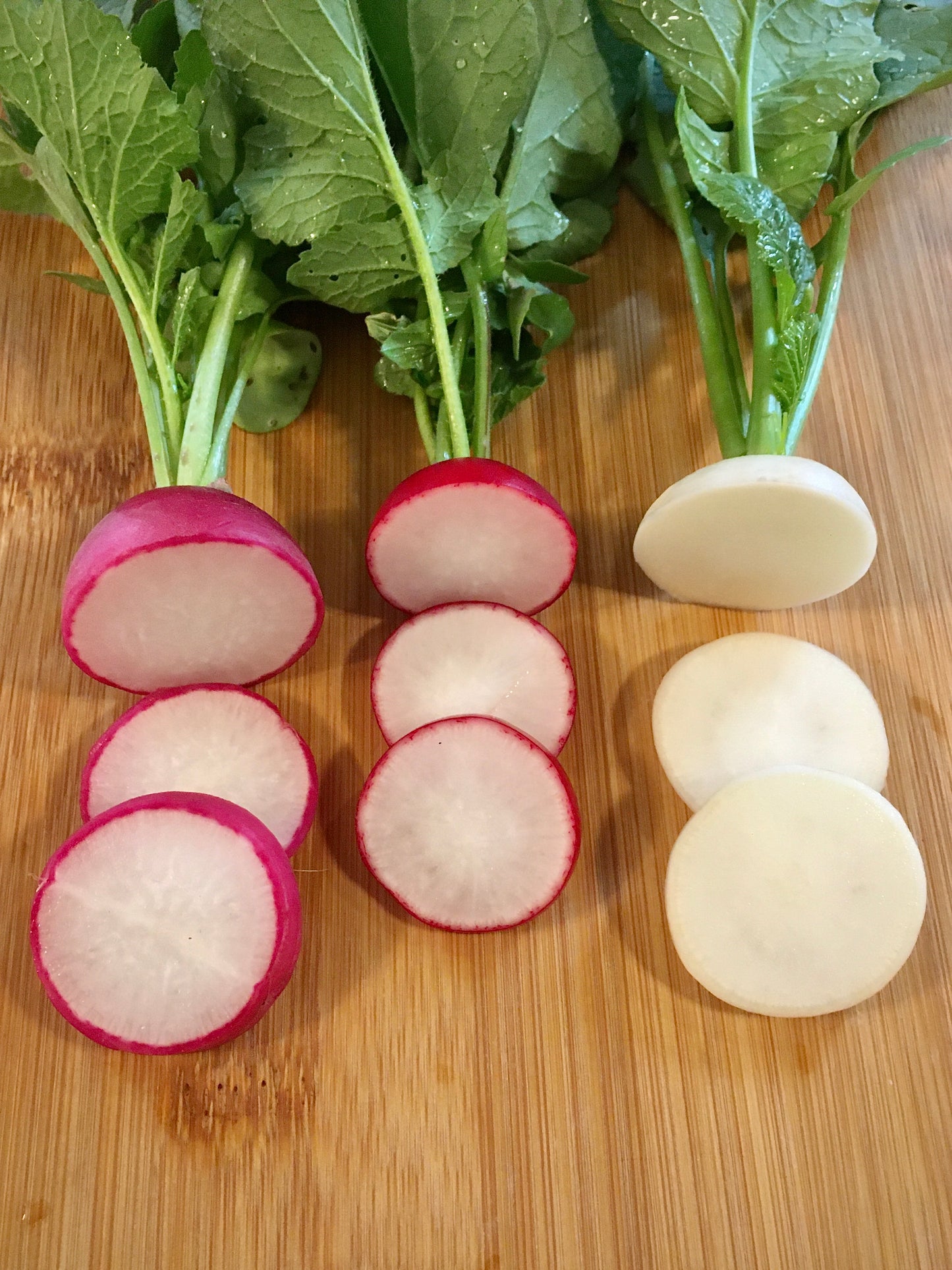 Radishes