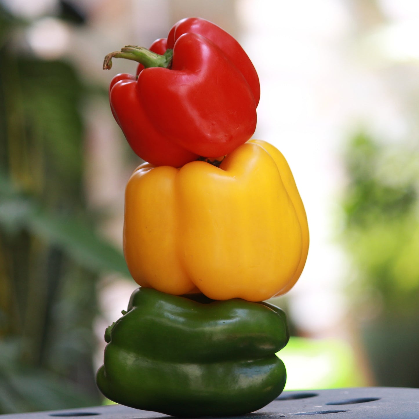 Peppers (bell)