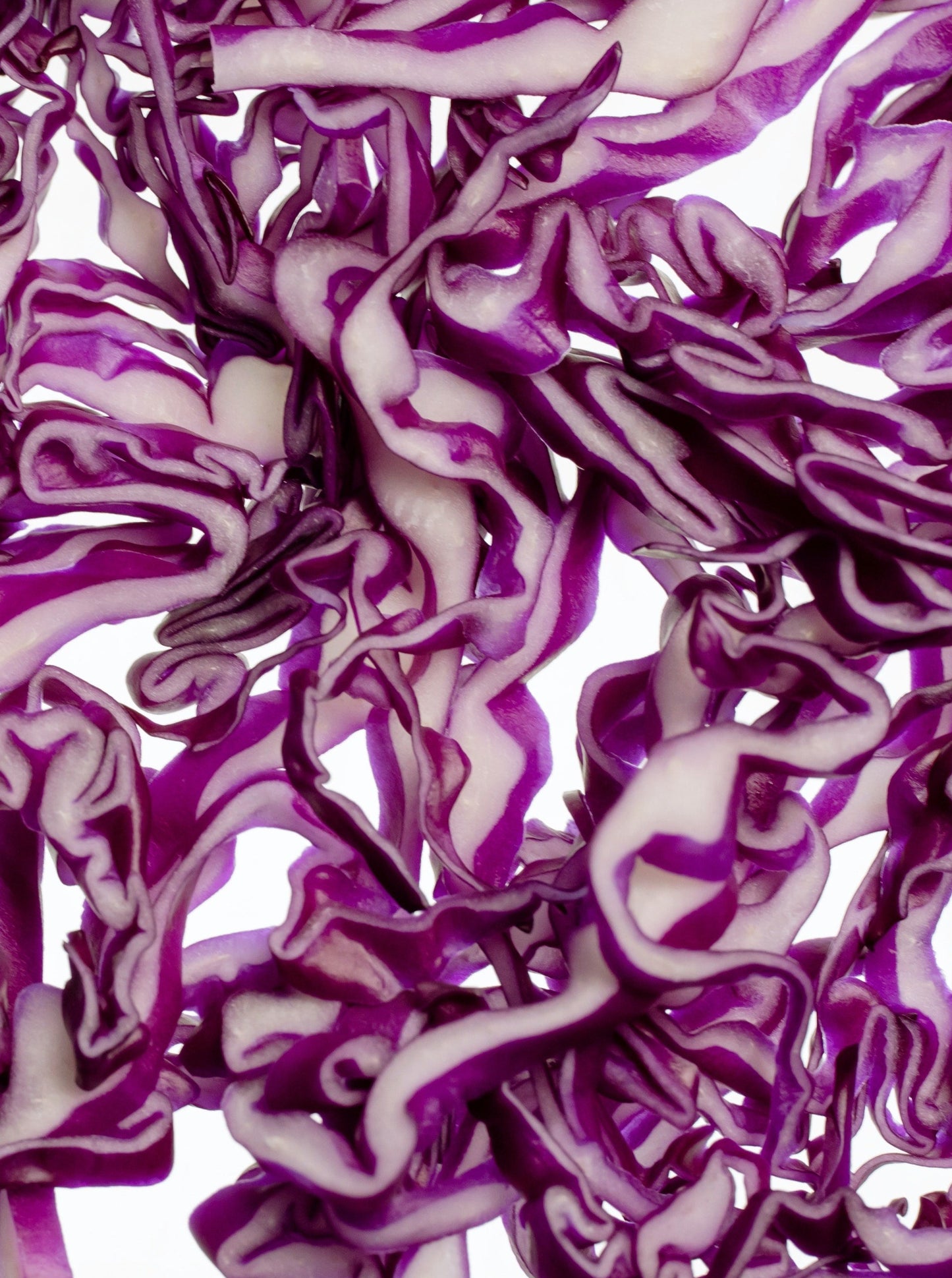 Cabbage