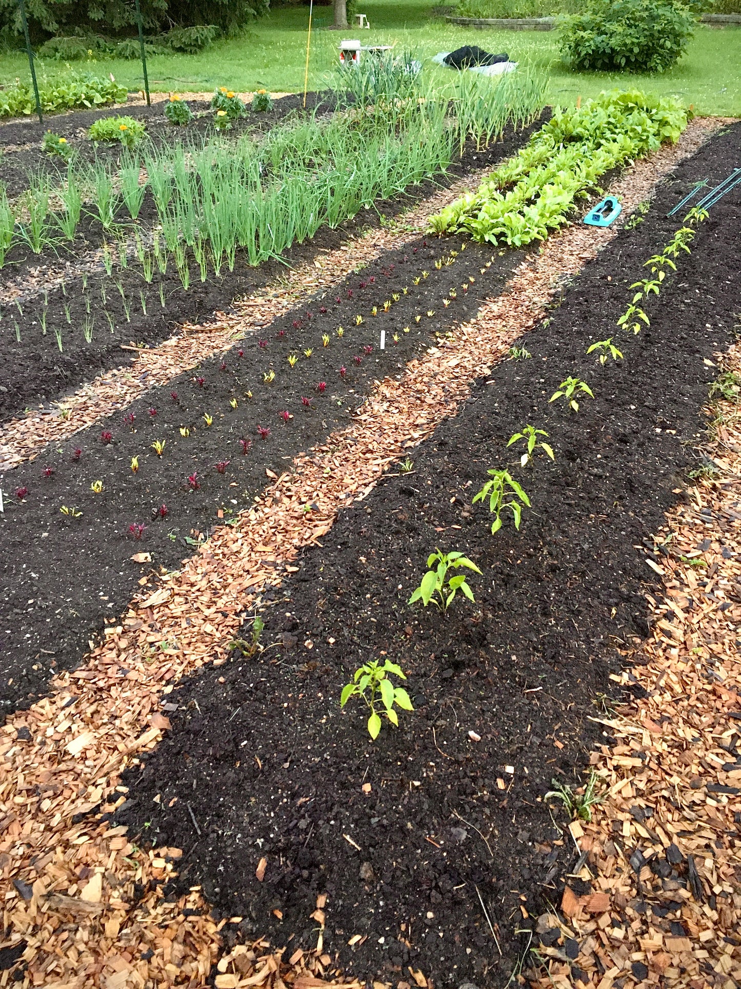 *TRF CSA-Flex Shares