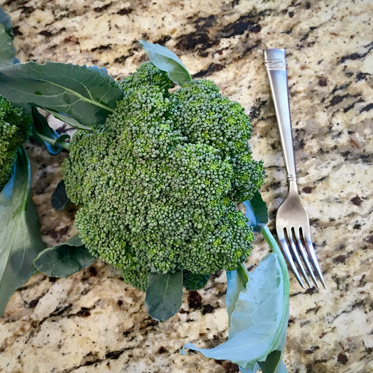 Broccoli