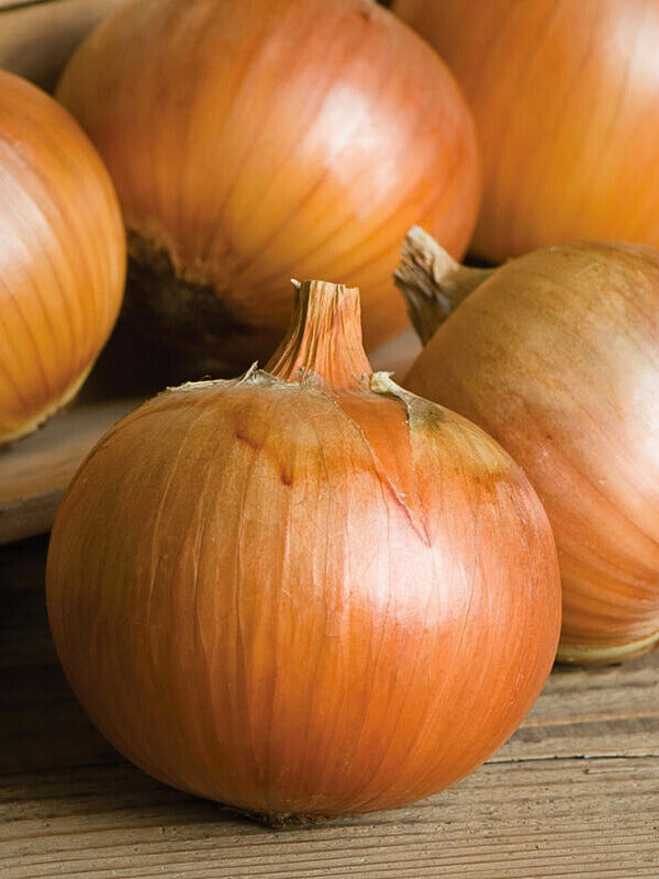Onion - storage types