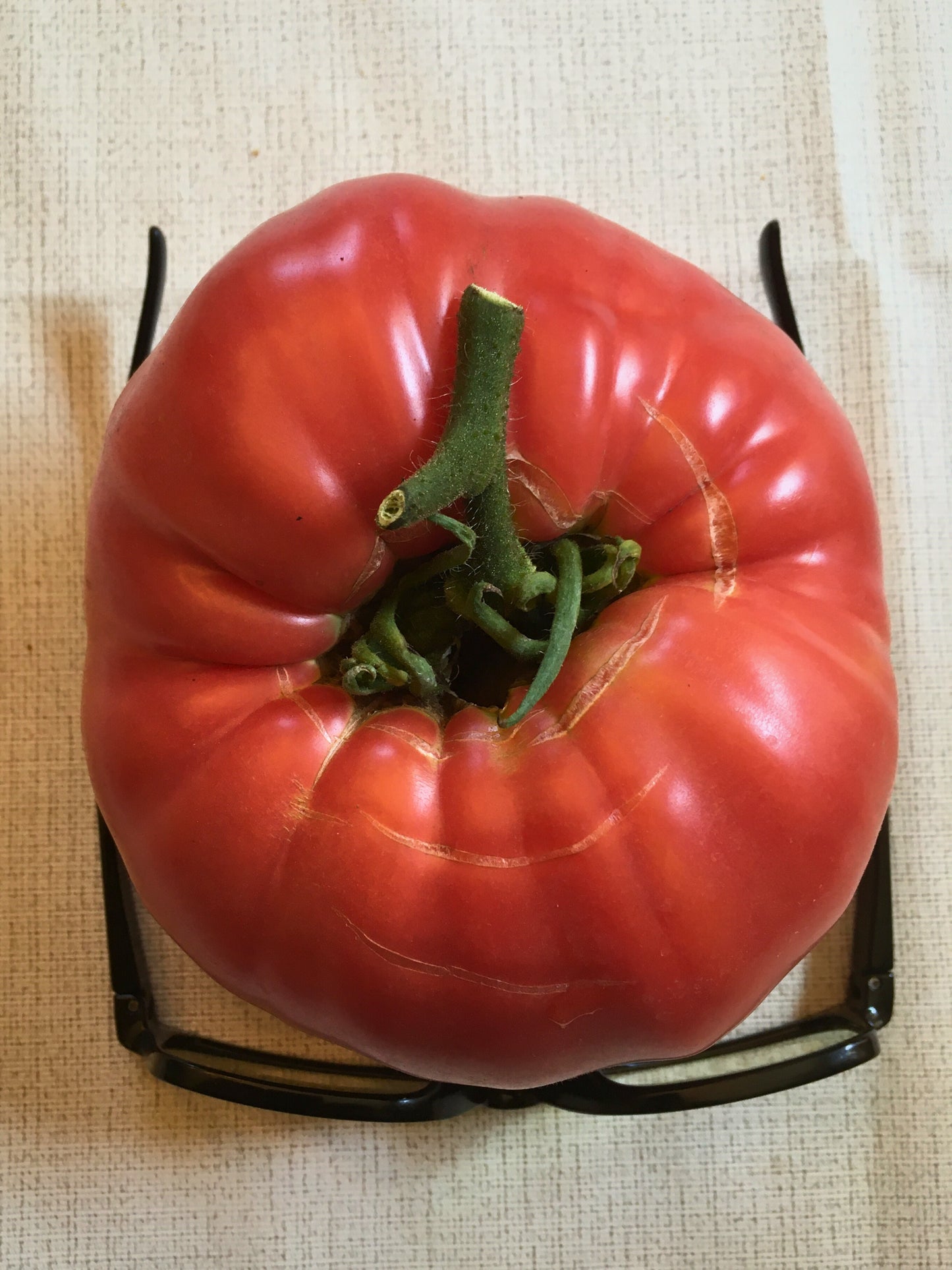 Tomato (Heirloom)
