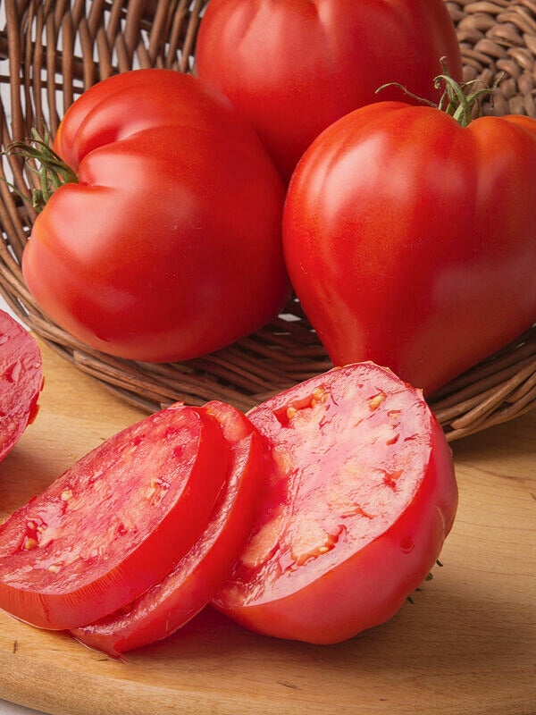 Tomato