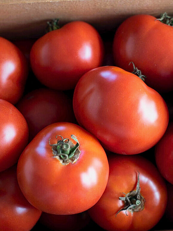 Tomato (Heirloom)
