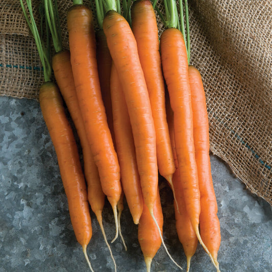 Carrots (baby)