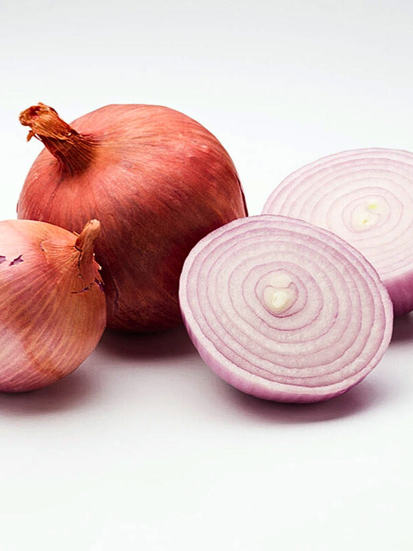 Onion - storage types