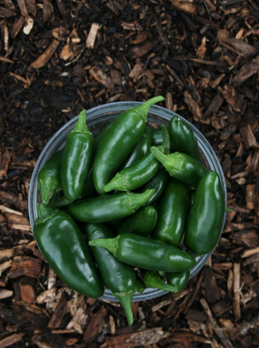 Peppers - Jalapeno