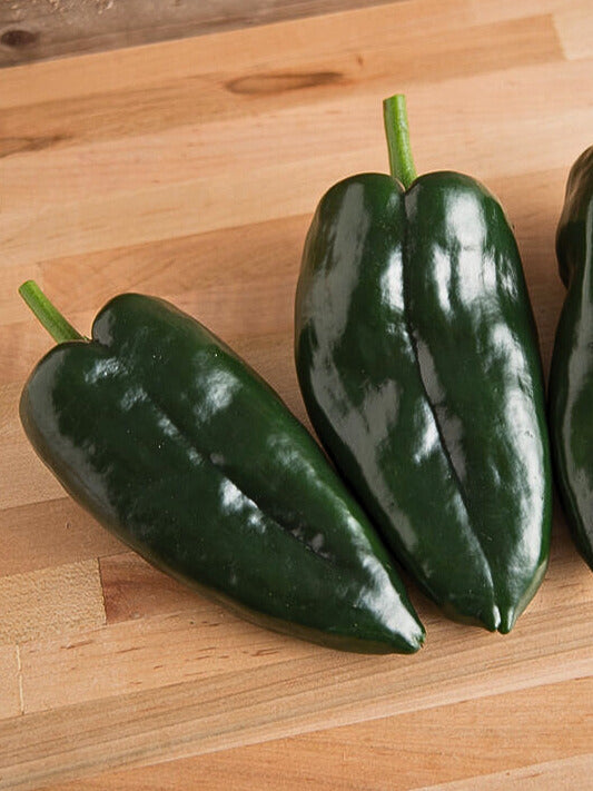 Peppers - Poblano