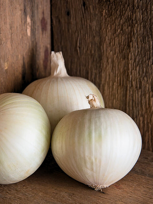 Onion - fresh/summer types