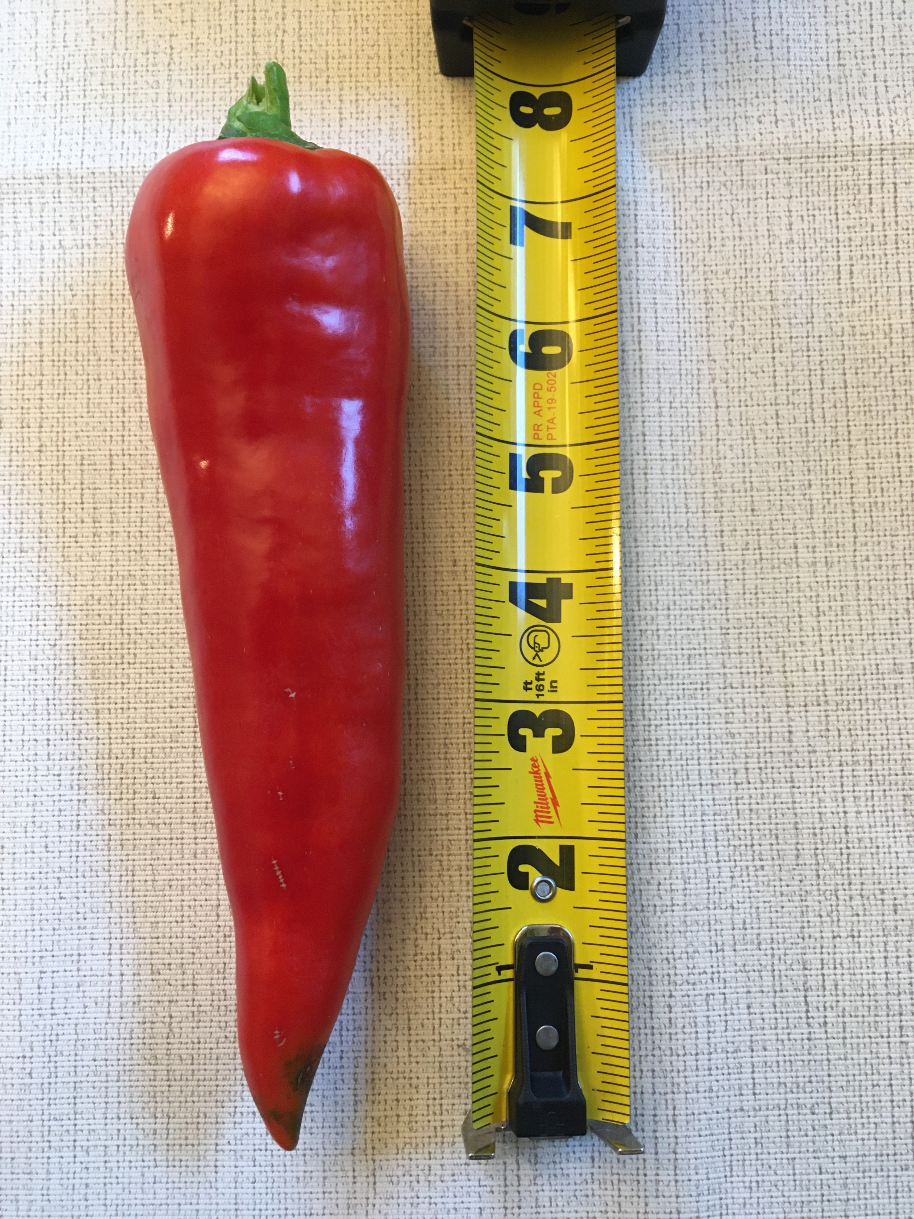 Peppers (Italian, sweet) – Turtle Ridge Farmstead