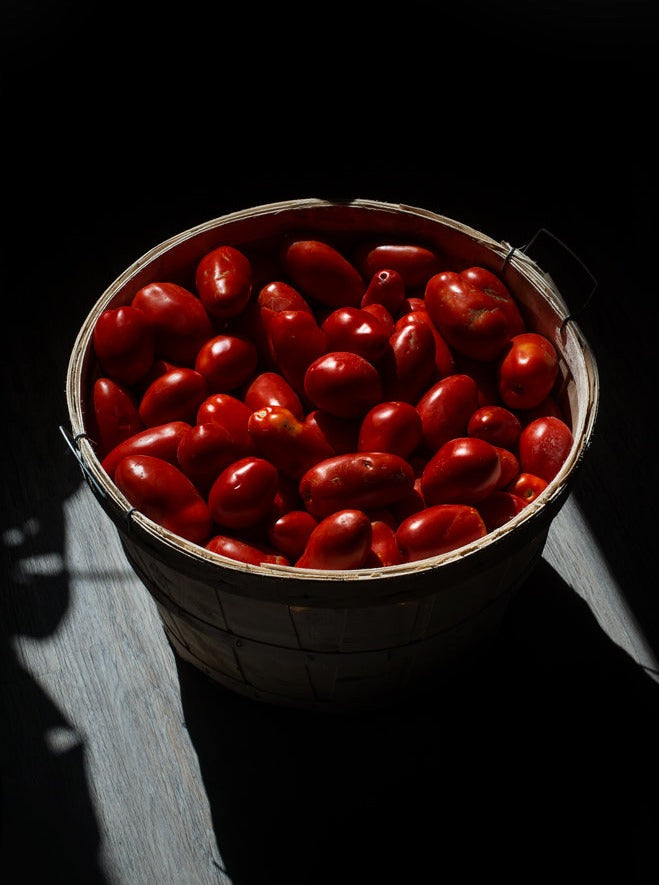 Tomato (paste/plum)